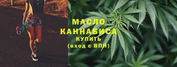 СК Бронницы