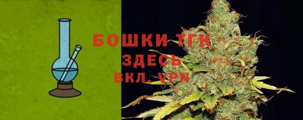 mdpv Бородино