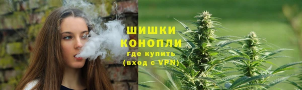 СК Бронницы