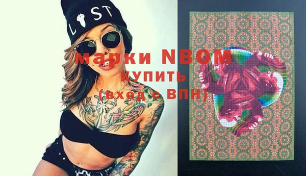 mdpv Бородино